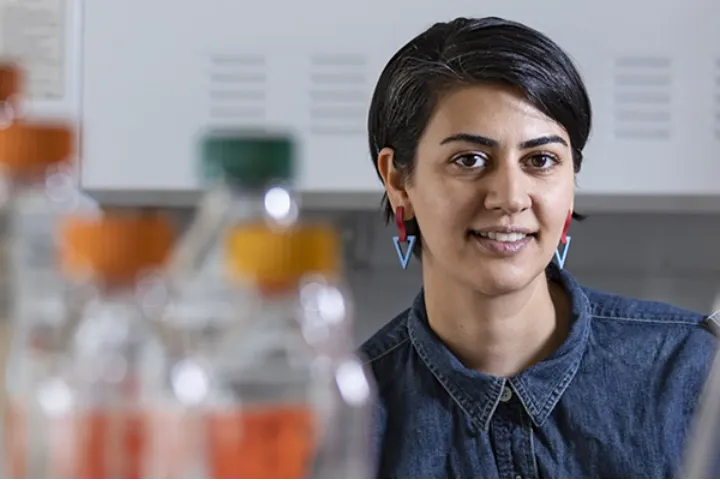 پزشک ایرانی پروژه درمان دیابت نوع ۱ را در مونترال هدایت می‌کند